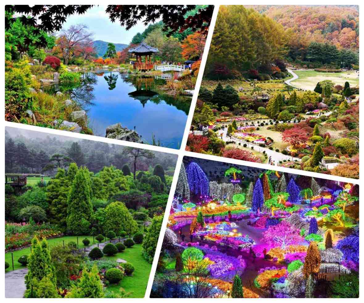 garden of morning calm