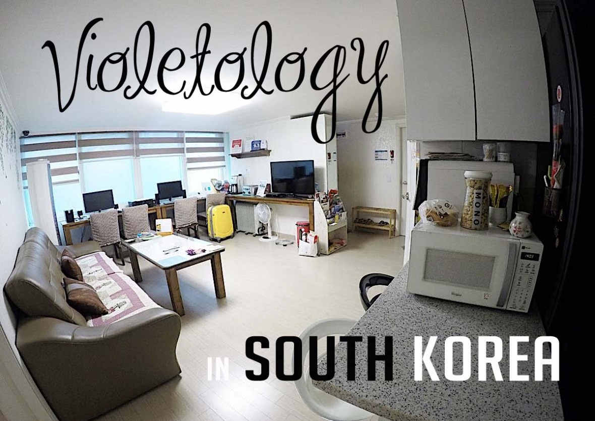 wow hills guest house seoul