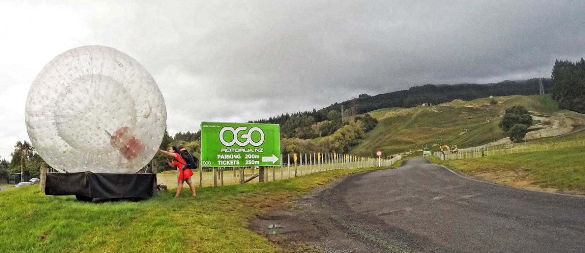 ogo rotorua new zealand