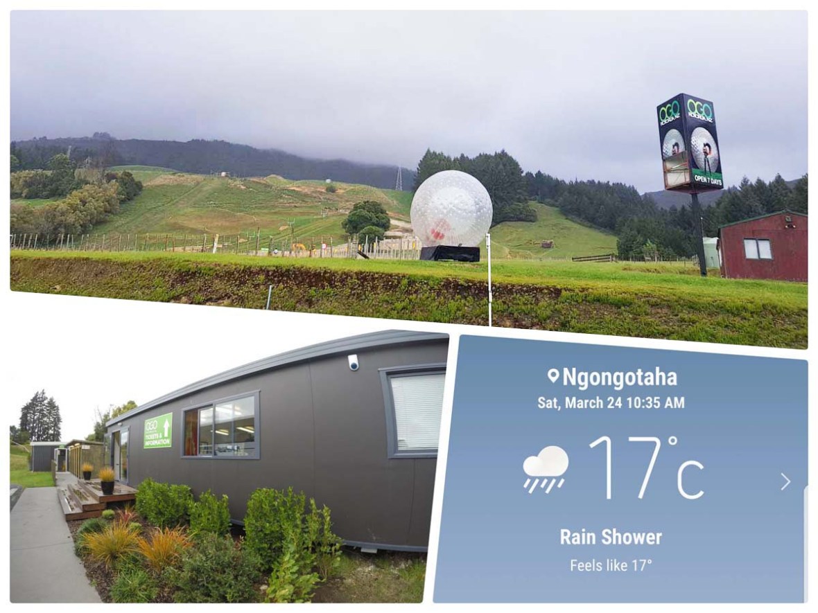 ogo rotorua new zealand