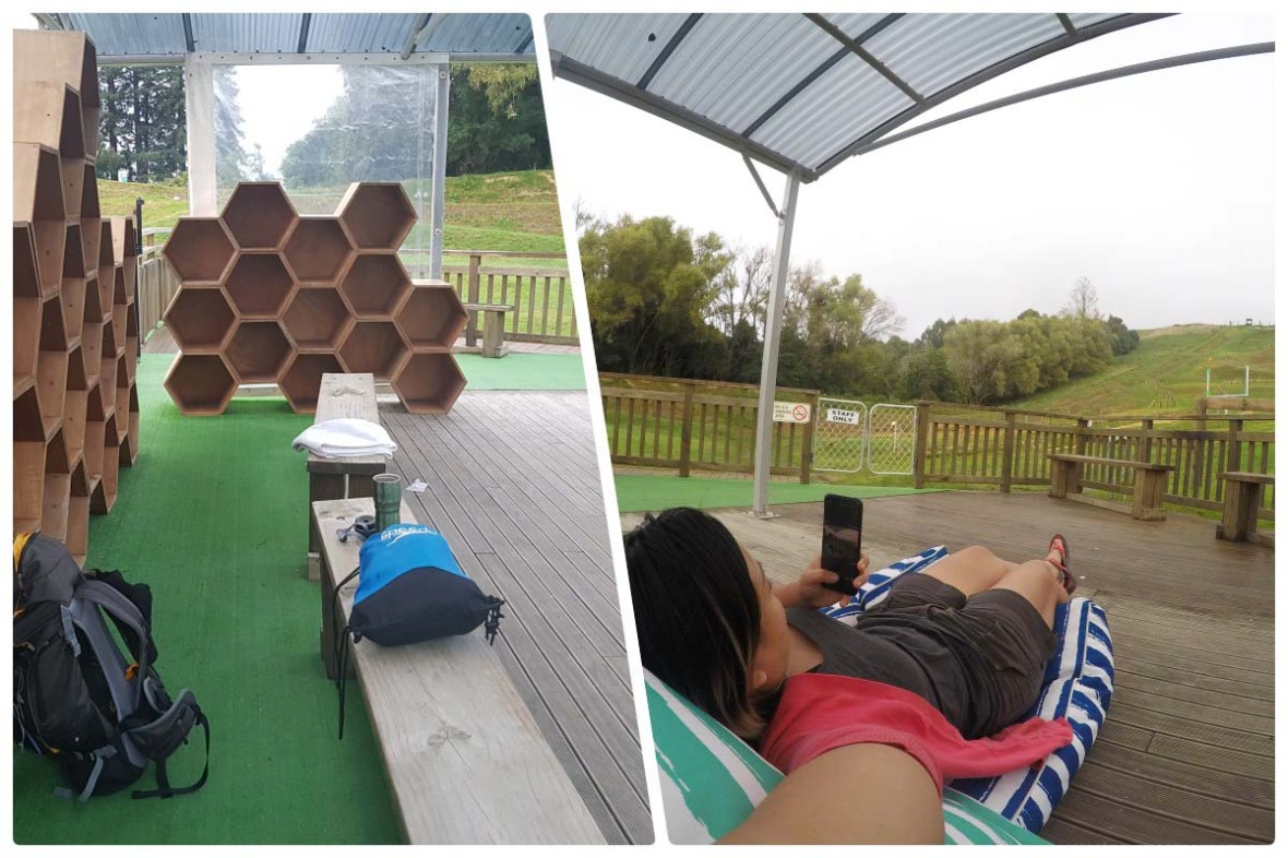 ogo rotorua new zealand