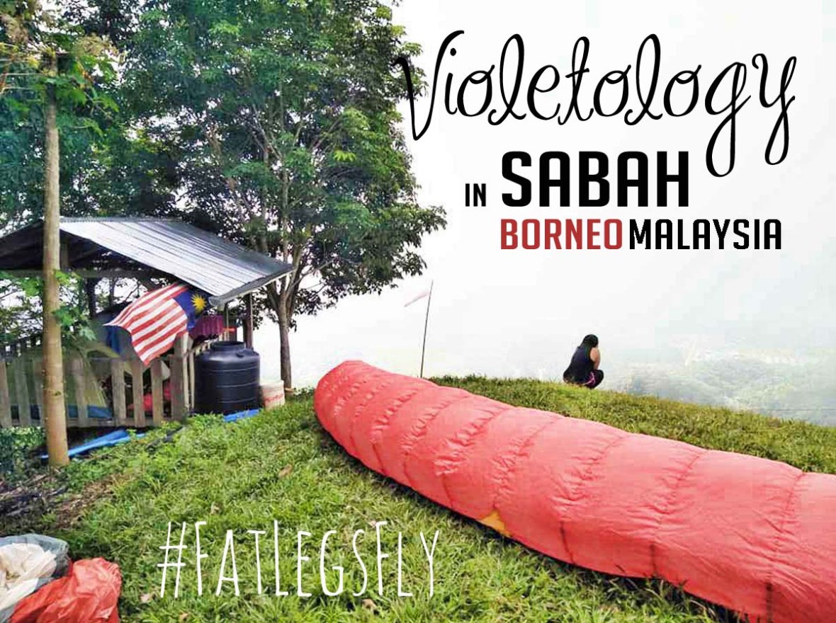 flight to sabah borneo malaysia