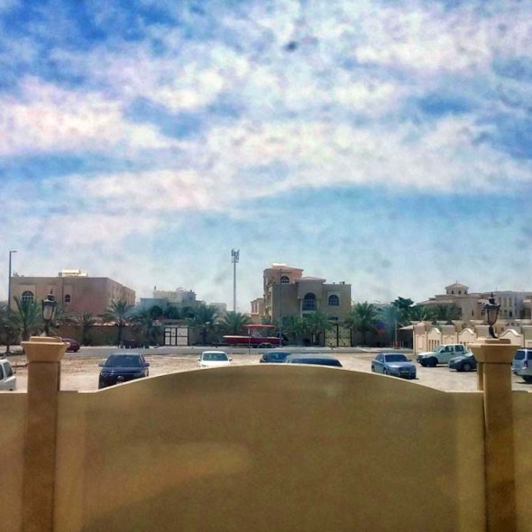 violetology book series