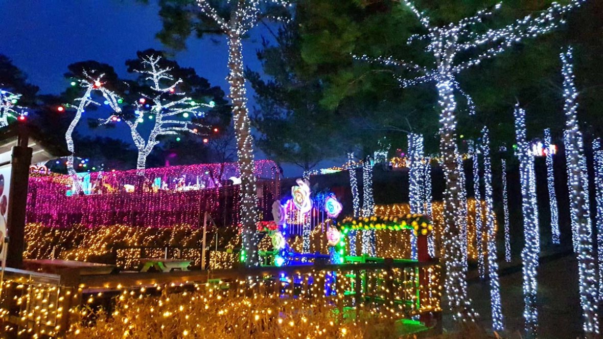 suyanggae light tunnel danyang south korea