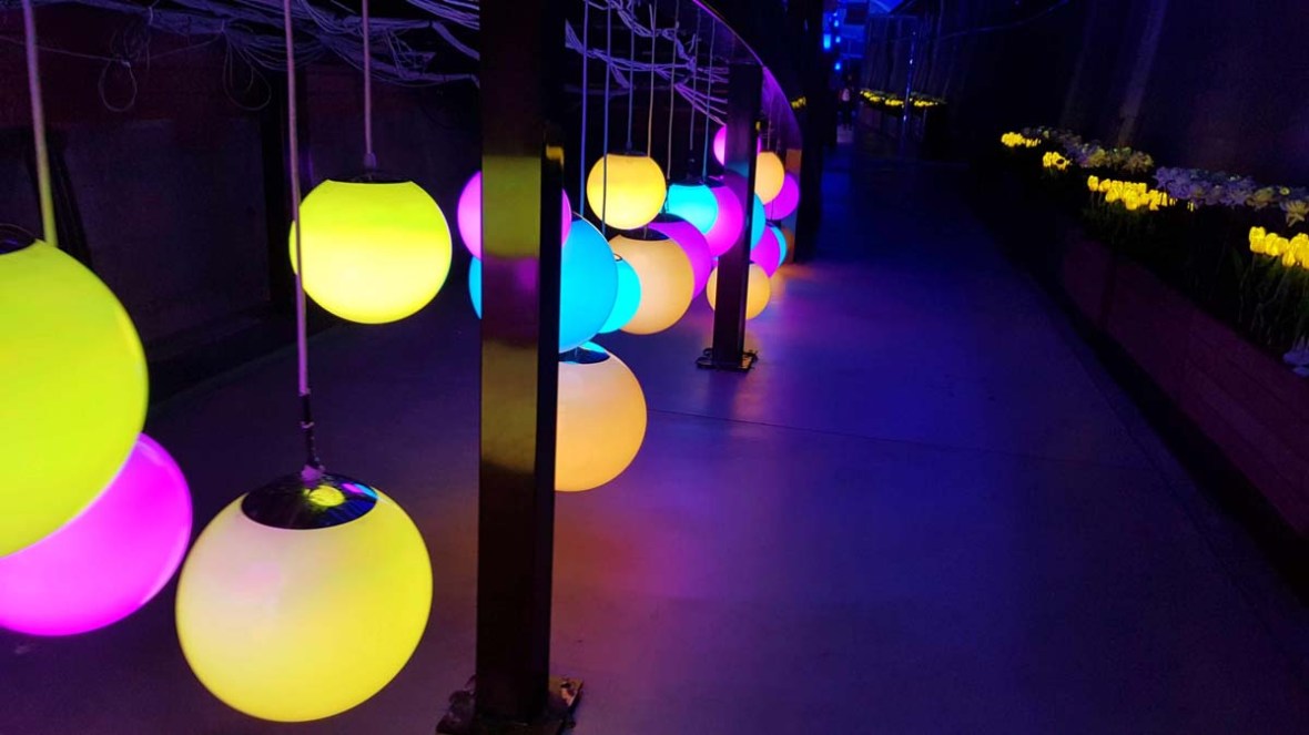 suyanggae light tunnel danyang south korea