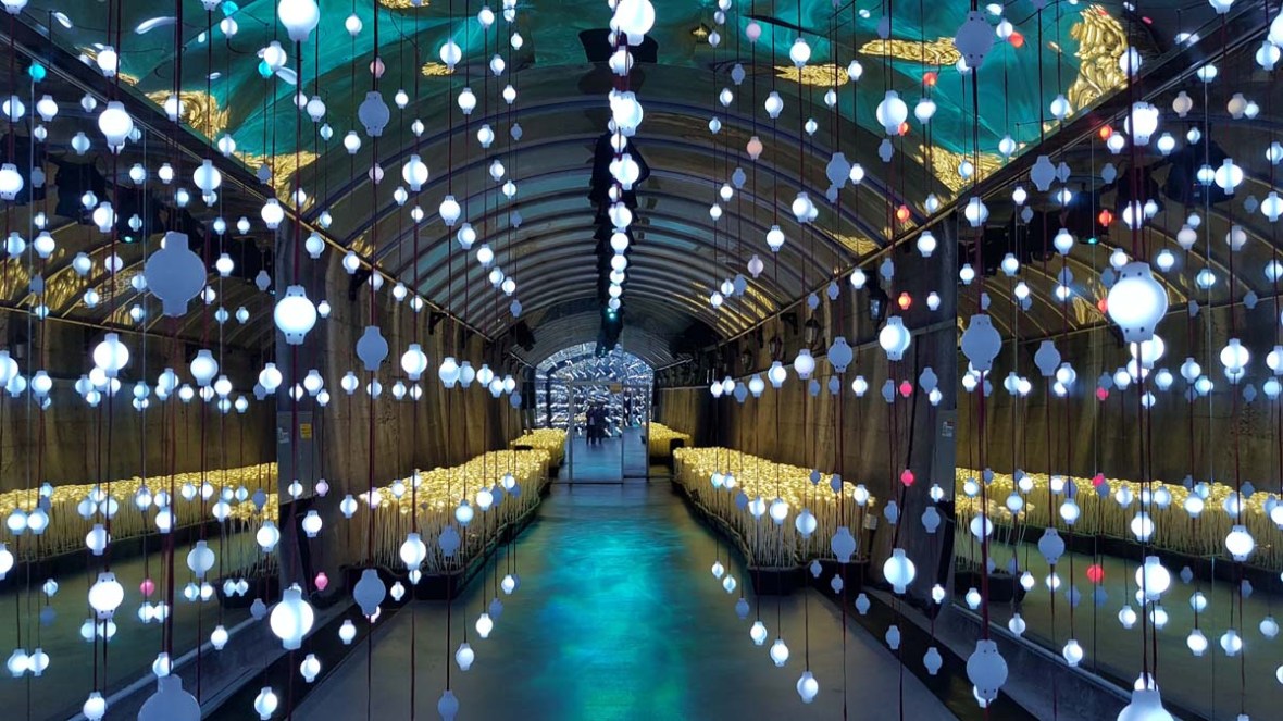 suyanggae light tunnel danyang south korea