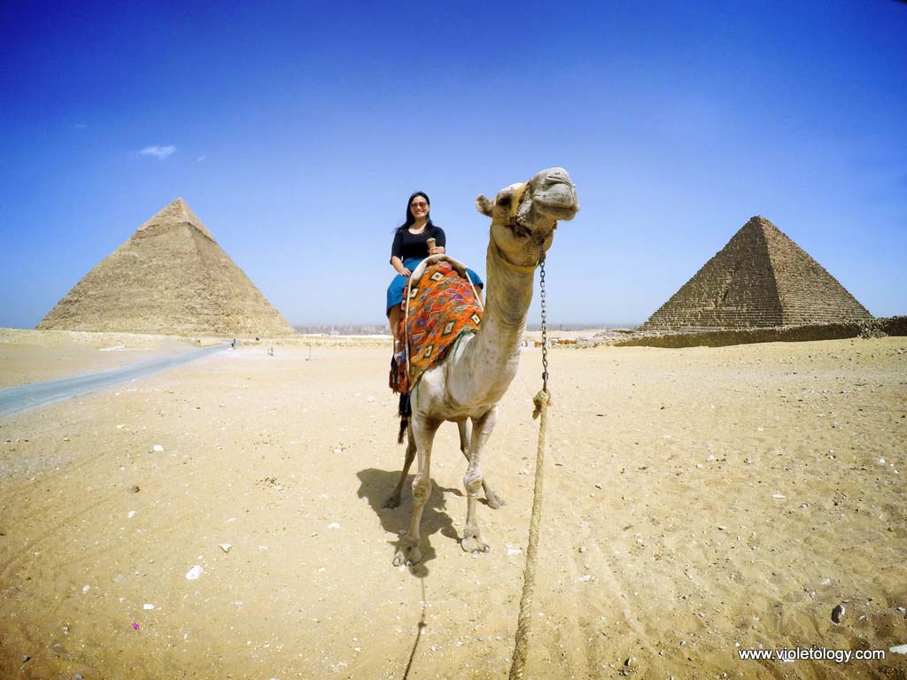 violetology cairo egypt