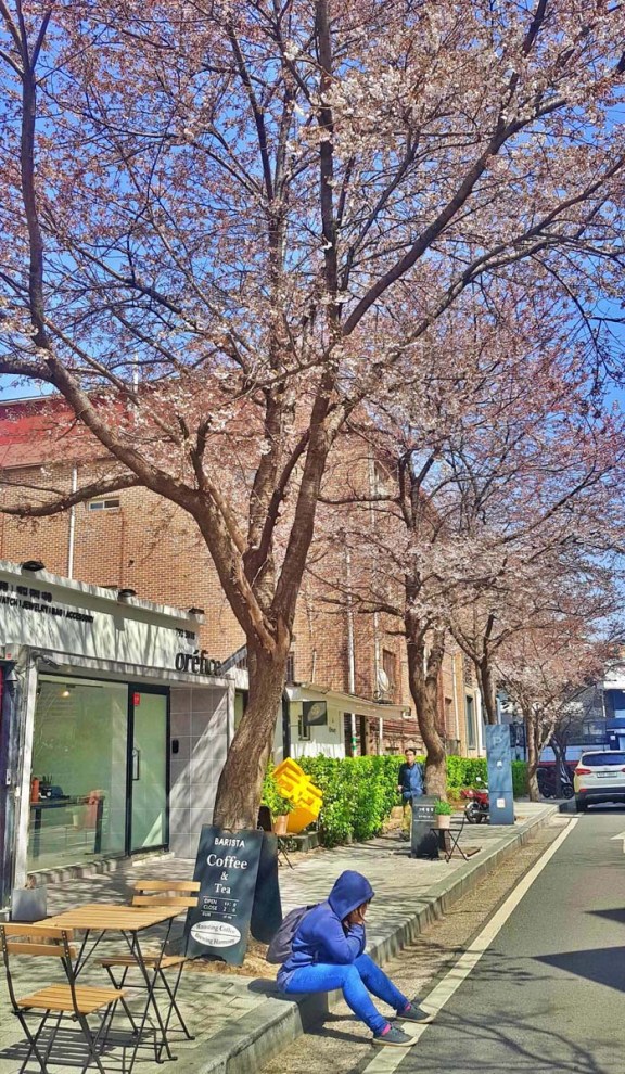 itaewon street seoul