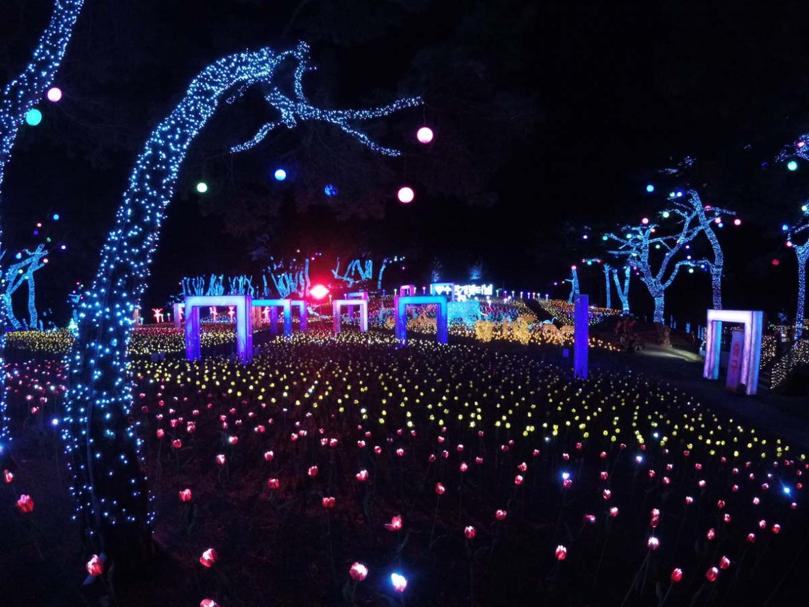 danyang paragliding south korea