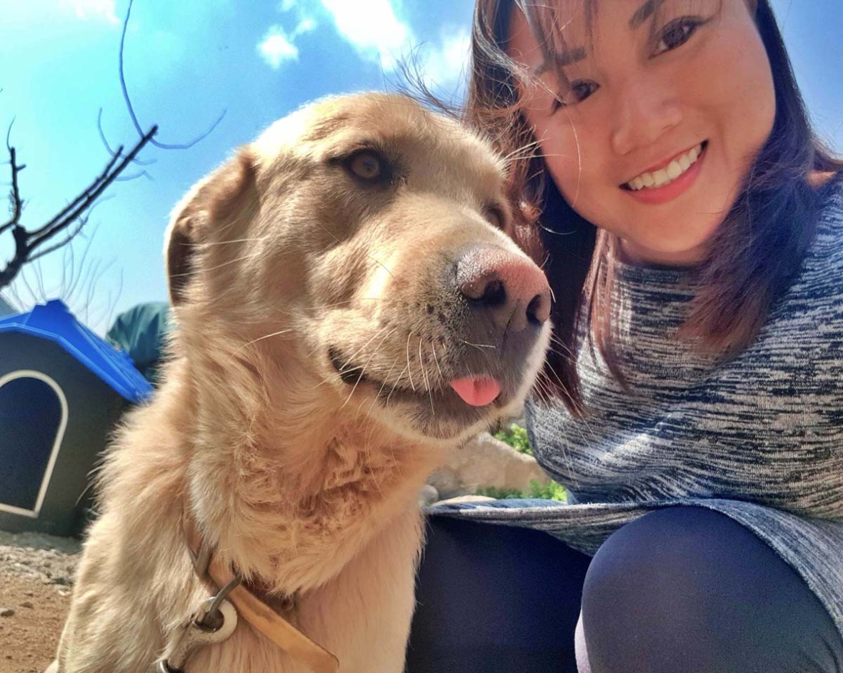 danyang paragliding south korea