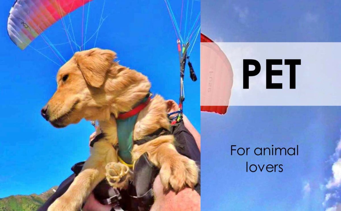 danyang awesome paragliding price list