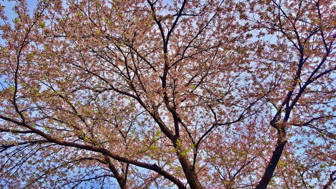 danyang tourist destination