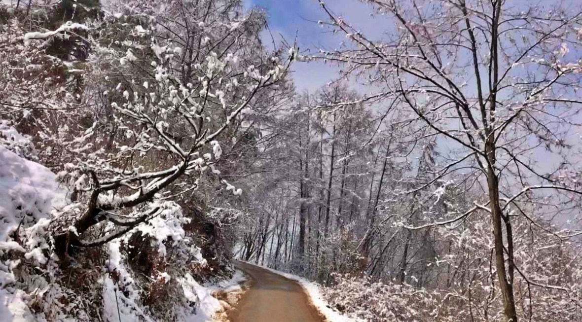 danyang winter season