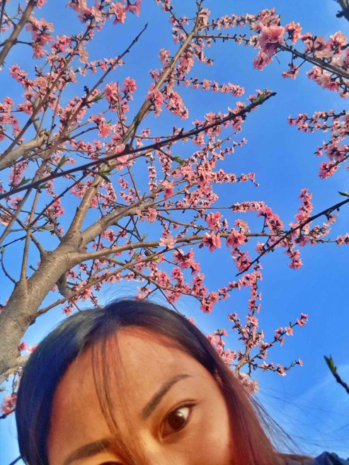 dodamsambong peaks danyang