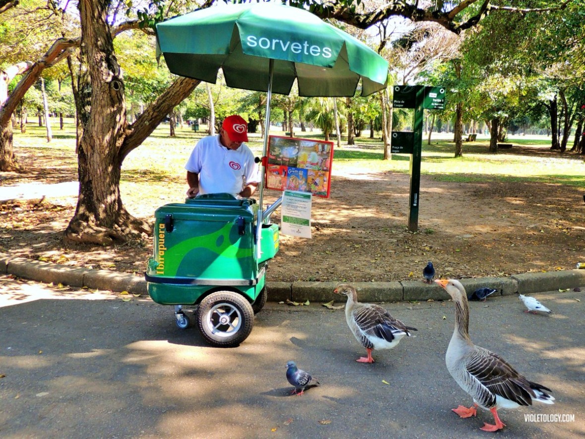 travel-sao-paulo-brazil-10